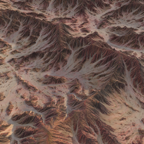 Landscape 83