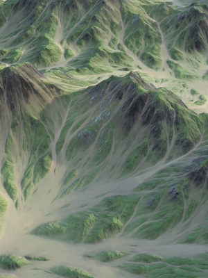 Landscape 89