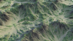 Landscape 89