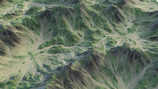 Landscape 89