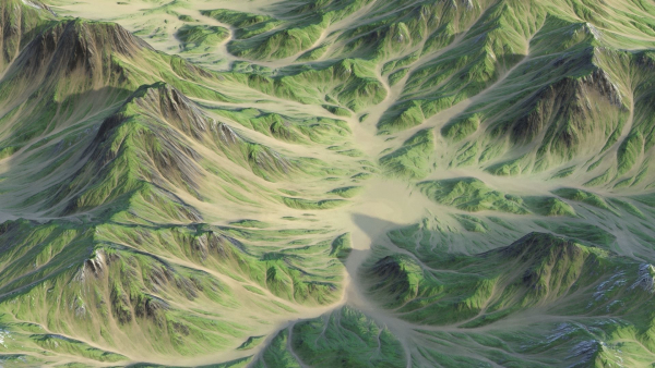 Landscape 89