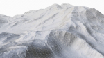 Landscape 91