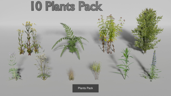 Landscape foliage and rock collection