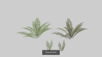 Landscape foliage and rock collection