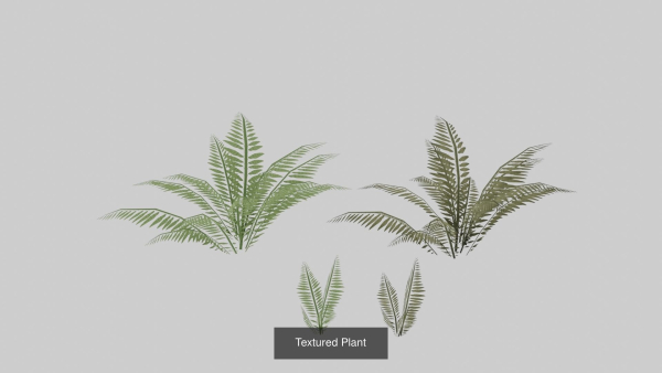 Landscape foliage and rock collection