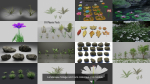 Landscape foliage and rock collection