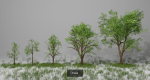 Landscape foliage and rock collection