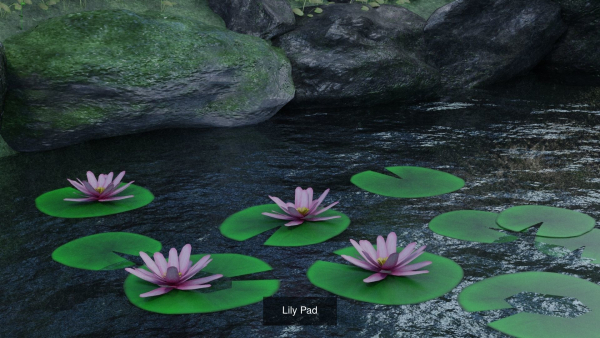 Landscape foliage and rock collection