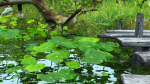 Landscape for Vray - Sketchup