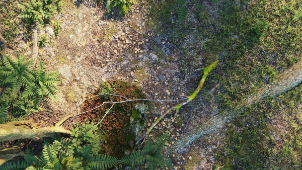 Landscape for Vray - Sketchup