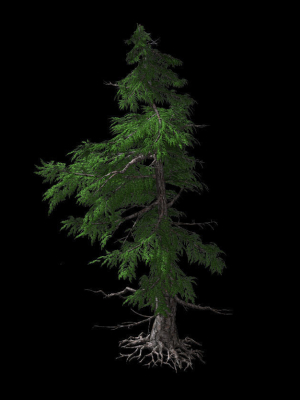 landscape-season-pine-tree-04-3d-model-max