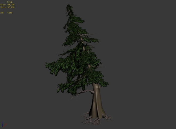 Landscape-Season-Pine Tree 04