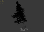Landscape-Season-Pine Tree 04