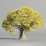 Landscape Tree vol 165-Blender