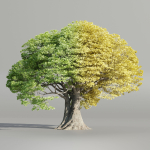 Landscape Tree vol 165-Blender