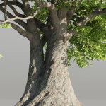 Landscape Tree vol 165-Blender