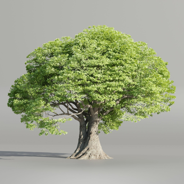 Landscape Tree vol 165-Blender