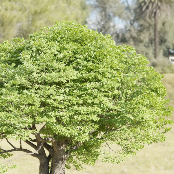 Landscape Tree vol 165-Blender
