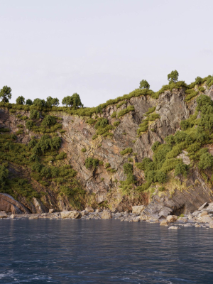 large-coast-cliff-pbr-scan-01-3d-model-9642c42e92