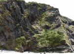Large Coast Cliff PBR Scan 01