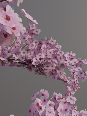 large-sakura-tree-01-3d-model-obj-fbx-stl-blend