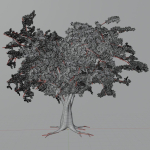 Large sakura tree 01