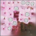 Large sakura tree 01