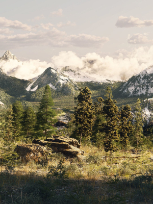 Large Scene Forest 3ds max 2023 - Vray 6