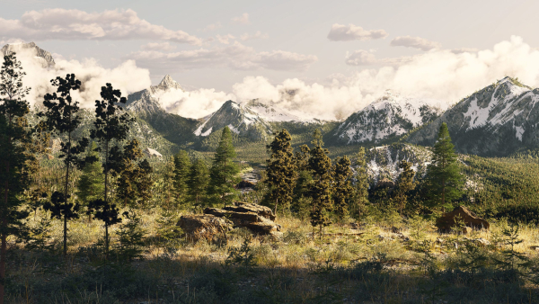 Large Scene Forest 3ds max 2023 - Vray 6