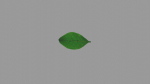 Leaf realistic