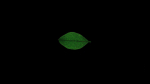 Leaf realistic