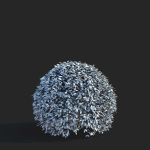 Ligustrum vulgare balls