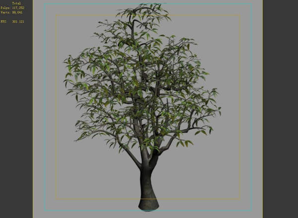 Lilac Garden-Mango Tree 06