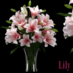 LILY 2 lilies in vase