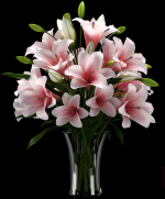 LILY 2 lilies in vase