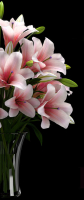 LILY 2 lilies in vase