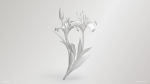 Lily Flower In 5 Colors