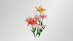 Lily Flower In 5 Colors