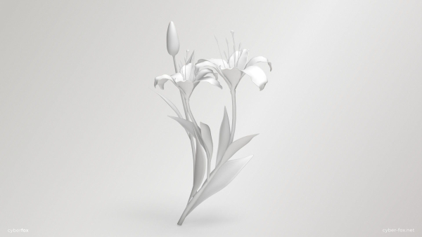 Lily Flower In 5 Colors