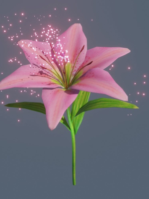 lily-flower-rigged-animated-3d-model-animated-rigged-fbx-blend