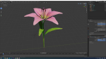Lily flower rigged animated
