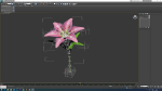 Lily flower rigged animated