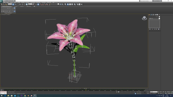 Lily flower rigged animated
