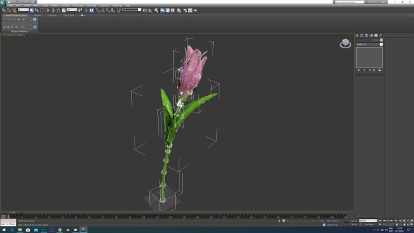 Lily flower rigged animated
