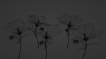 Lily Magnolia Flower Rigged and Animated