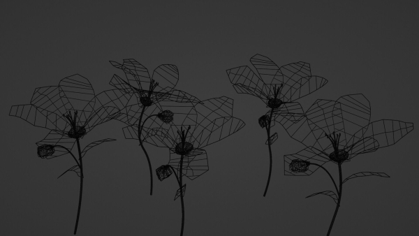 Lily Magnolia Flower Rigged and Animated