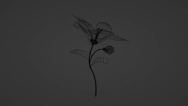 Lily Magnolia Flower Rigged and Animated