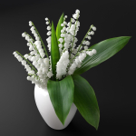 Lily of the Valley