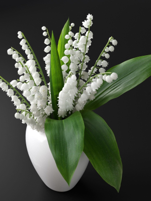 lily-of-the-valley-3d-model-max-obj-fbx-c4d