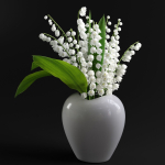 Lily of the Valley